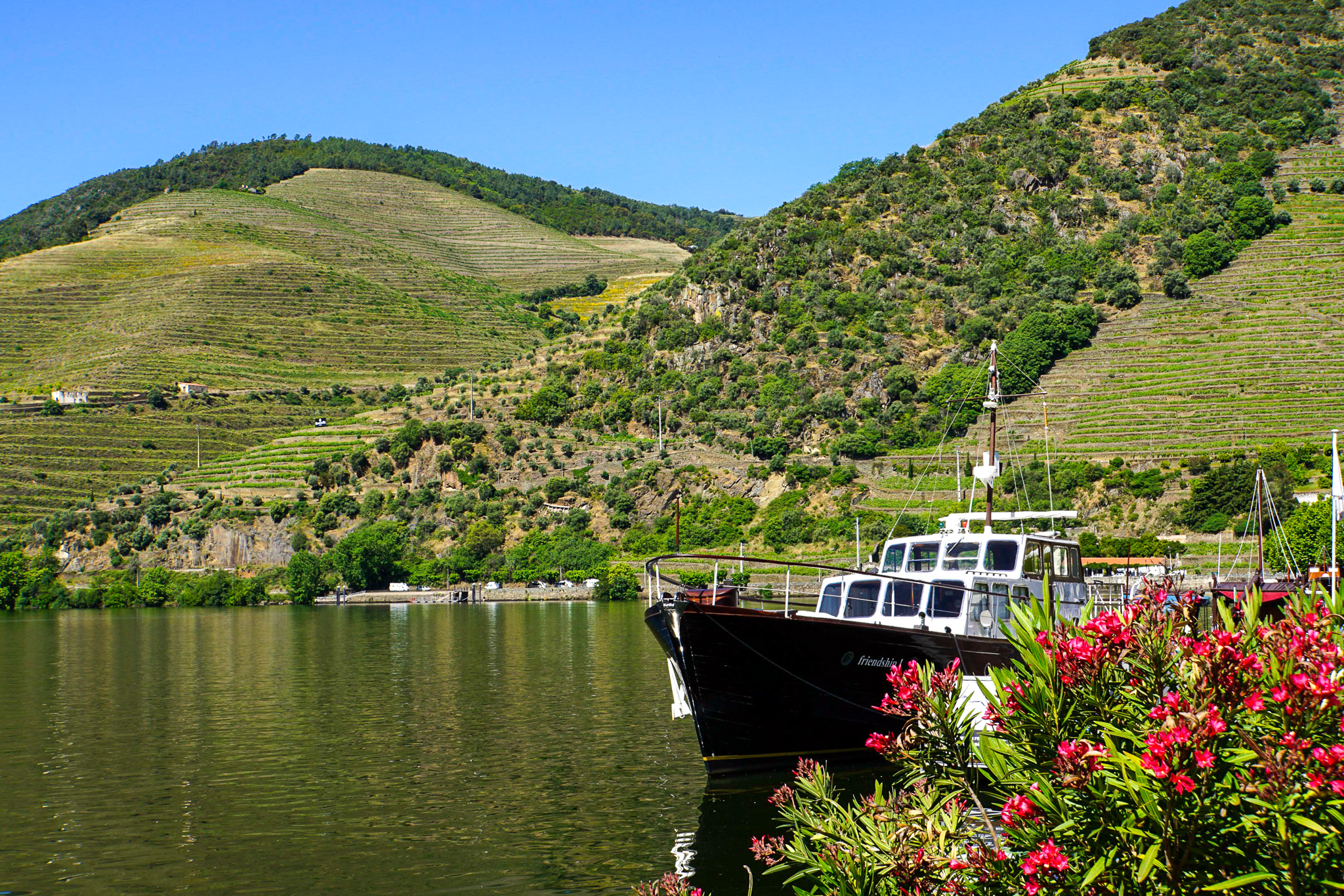 Makalös utsikt i Douro Valley