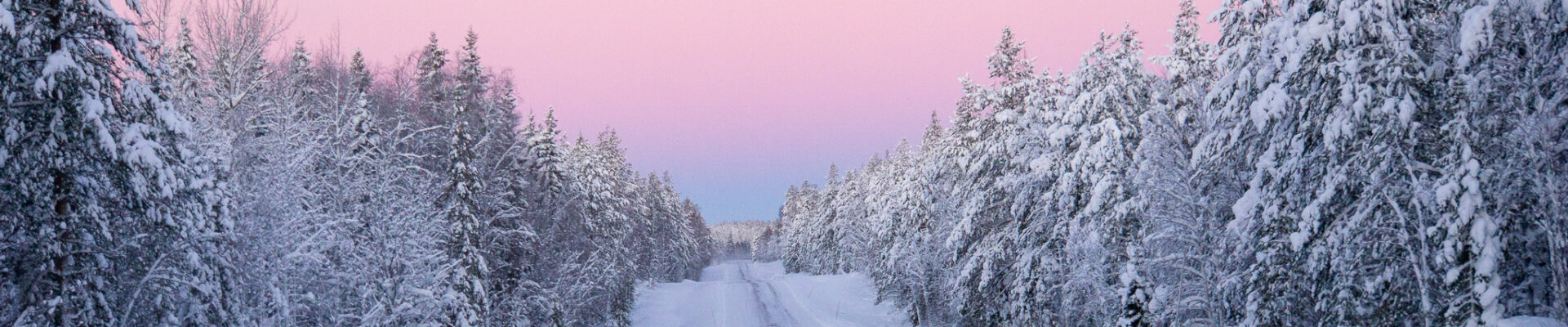Vinterbilder från norr