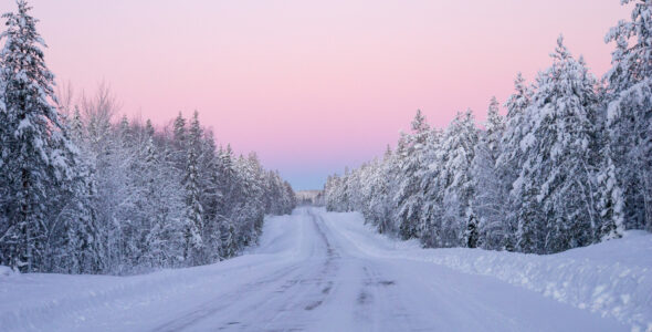 Vinterbilder från norr