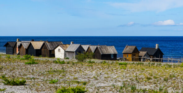 Gotland dag 4, raukar och Fårö