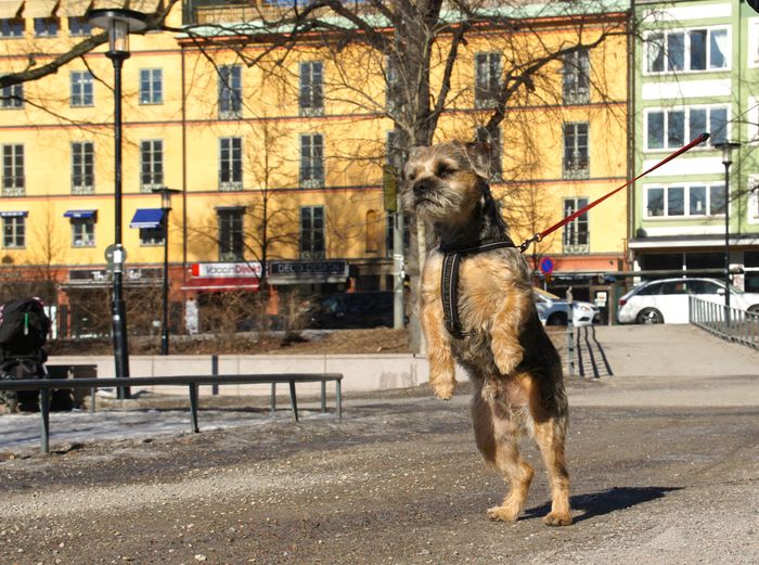 Långpromenad i Stockholm del 1 – People in the Street